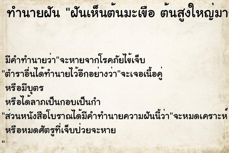 ทำนายฝัน ฝันเห็นต้นมะเขือ ต้นสูงใหญ่มาก 